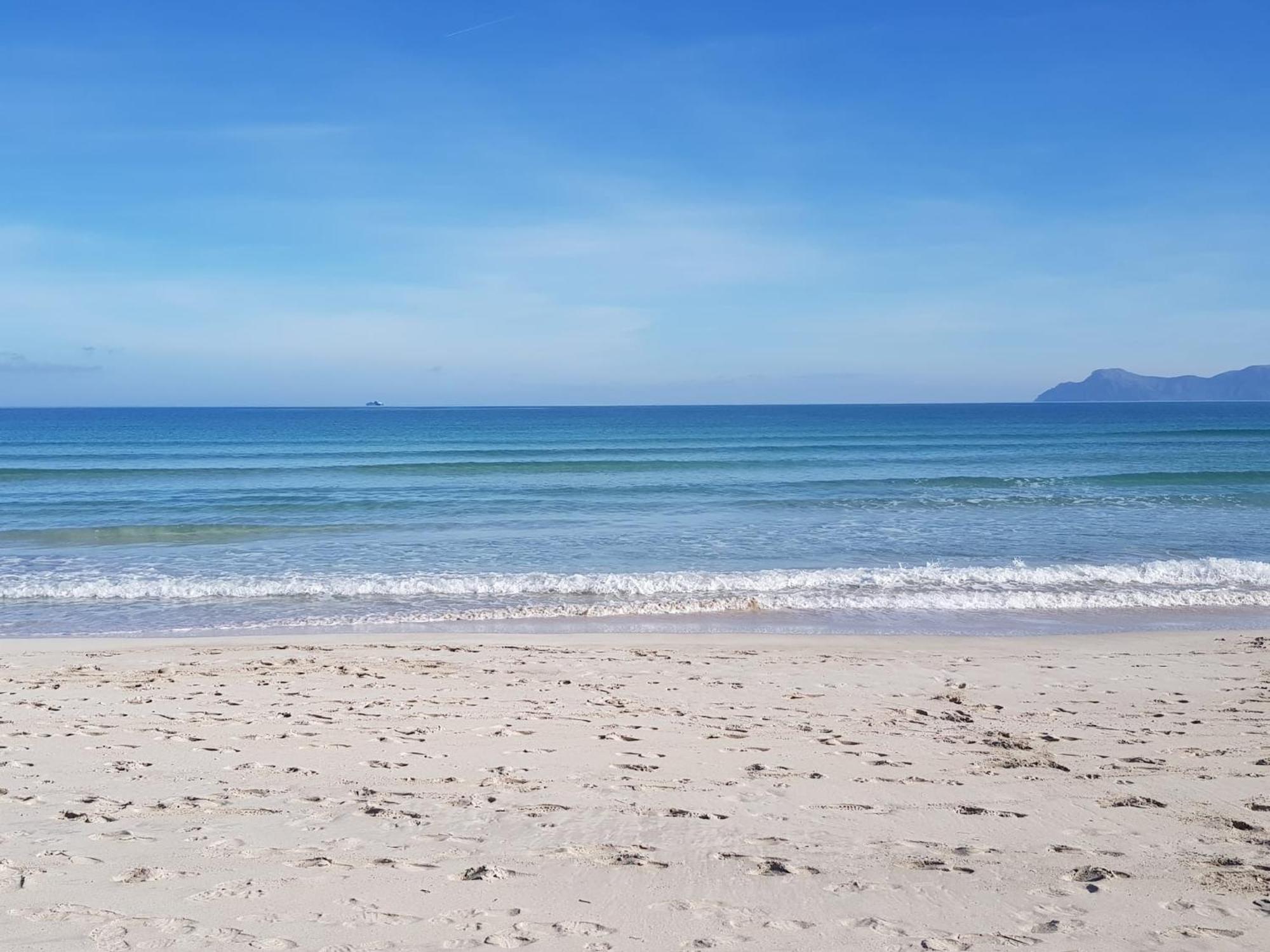 Ideal Property Mallorca - Barbera Alcudia  Dış mekan fotoğraf